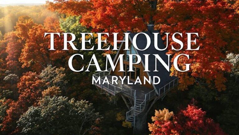 Maryland Treehouse Camping: 2026 Guide to Canopy Stays